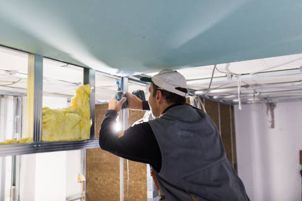 Best Insulation Installation Services in Bartonvle, IL