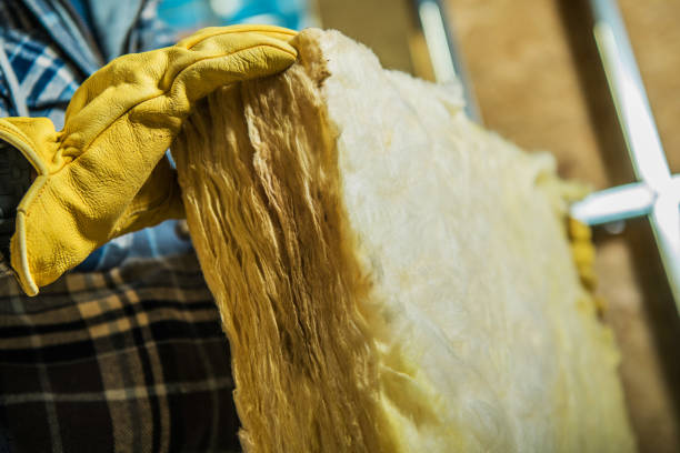 Best Insulation Installation Services in Bartonvle, IL